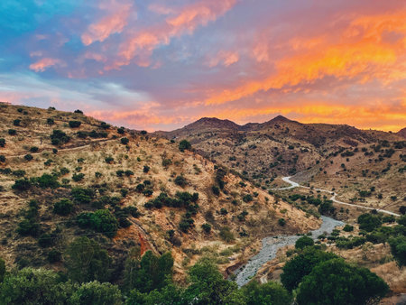 Rolling landscape with hills and olive trees during sunset in countryside of Malaga, Andalucia,...