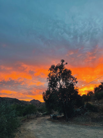 Rolling landscape with hills and olive trees during sunset in countryside of Malaga, Andalucia, Spain.の写真素材