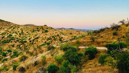 Rolling landscape with hills and trees during sunset in countryside.の写真素材