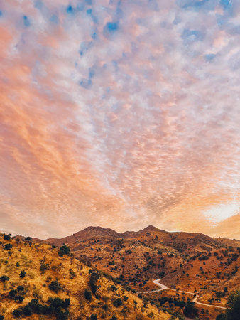 Rolling landscape with hills and trees during sunset in countryside of Malaga, Andalucia, Spain.の写真素材