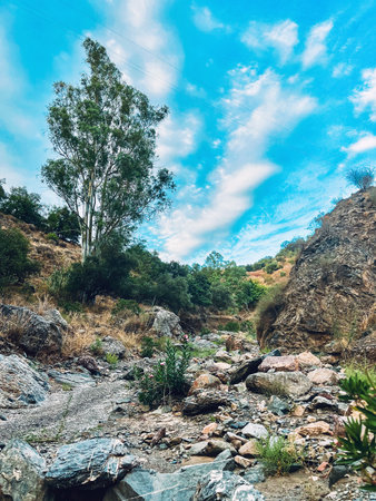 Riverbed in Andalucian rolling landscape under blue sky with some clouds.の写真素材