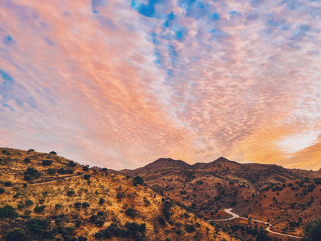 Rolling landscape with hills and olive trees during sunset in countryside of Malaga, Andalucia, Spain.の写真素材