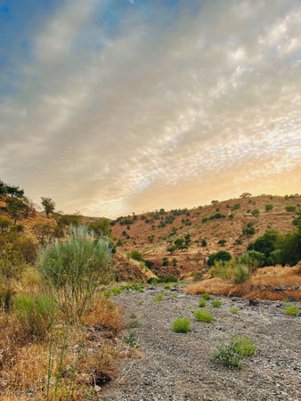 Riverbed in Andalucian rolling landscape under sunset sky with some clouds.の写真素材