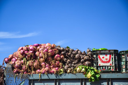 vegetables with blue sky