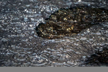 Dripping water on surface in the rainの写真素材
