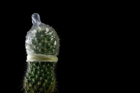 Green cactus in a condom with a black background の写真素材