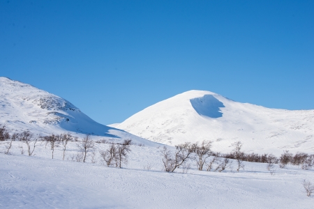 beautiful day in the Swedish mountains with a blue sky in the backgroundの写真素材