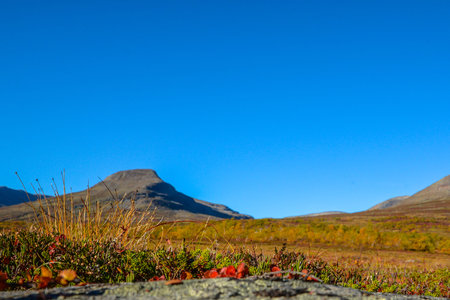 beautiful day in the Swedish mountains with a bright blue sky in the background