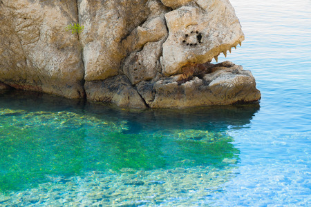 fish in stone with an open mouth full of fangs swimming in the seaの写真素材