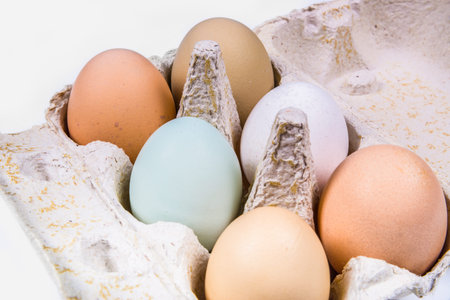 close-up of six eggs in different colors and sizes in an egg carton on a white background