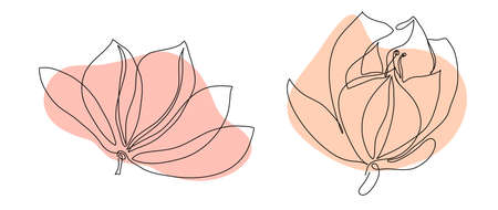 Simple line art spring flowers peonies lily magnolia for  decor invitationのイラスト素材