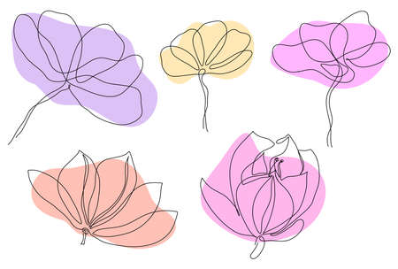 Simple line art spring flowers peonies lily magnolia for  decor invitationのイラスト素材