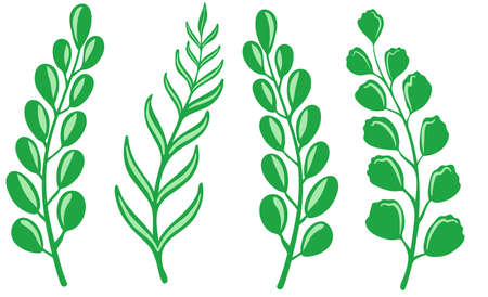 Simple spring hand drawn flowers set with leafsのイラスト素材