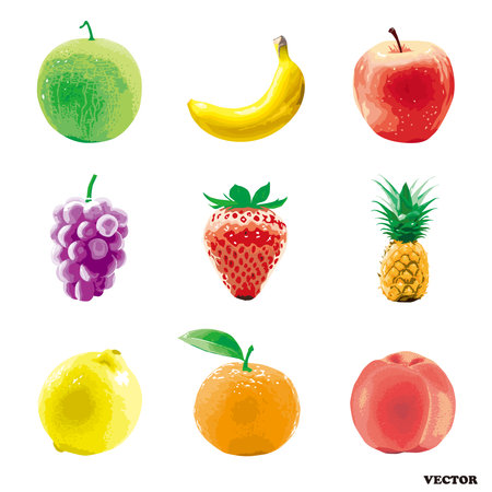 Realistic and photorealistic multiple fruits vector icons.のイラスト素材