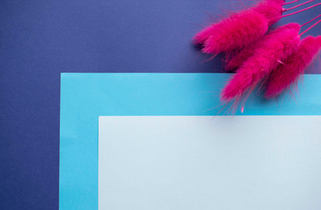 pink spikelets on a background of blue shades with space for inscriptionsの写真素材