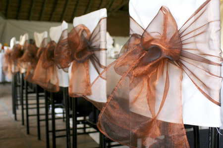 Row of chairs with white covers and bronze organza bowsの写真素材