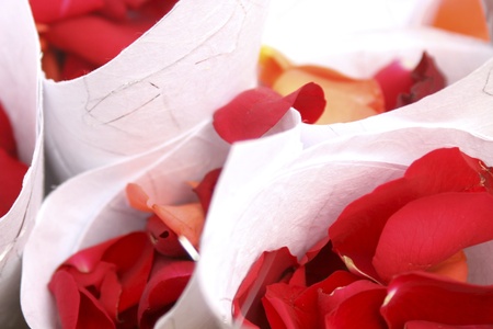 fresh red rose petal confettiの写真素材