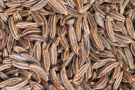 Macro photo of cumin seeds. Closeup 1:1の写真素材