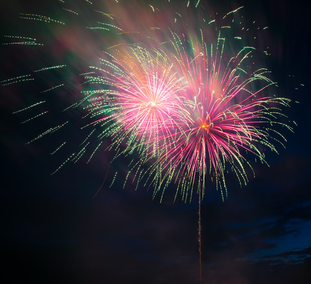 Two fireworks blasted shaping dandelion.の写真素材