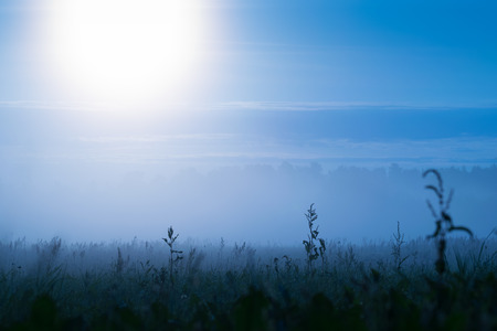 Cold and misty sunrise landscape. Morning dew.の写真素材