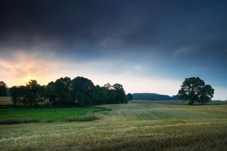 Sun just rises over the field. Oaks growing on the stubble.の写真素材