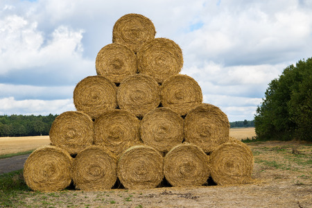 Pile of cylinder haystacks. End of the summer.の写真素材