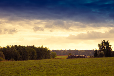 Wood pile on the meadow. Summer landscape - Masuria, Poland.の写真素材