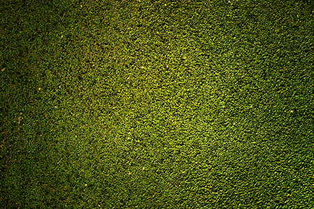 Green rubber texture - made of little pieces of rubber and grains of sand.の写真素材