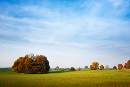 Autumn meadow on which grow colorful trees.の写真素材