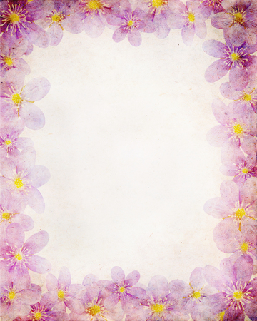 vintage paper textures with floral frame. Liverwort (hepatica nobilis)の写真素材
