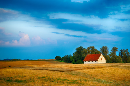 Summer countryside landscape. Picturesque farm building standing in the field of grain. End of Julyの写真素材