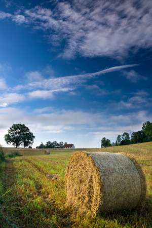 Haystack on a field of stubble. August countryside landscape.の写真素材
