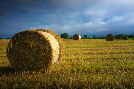 Haystack on a field of stubble. August countryside landscape. Masuria, Poland.の写真素材