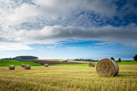 Haystack on a field of stubble. August countryside landscape. Masuria, Poland.の写真素材