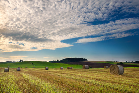 Haystack on a field of stubble. August countryside landscape. Masuria, Poland.の写真素材