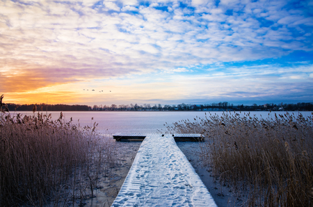 Flock of swans fly over frozen Lake Elckie. Masuria, Poland.の写真素材