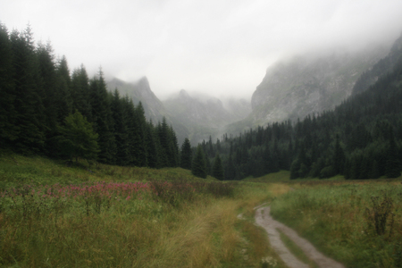 Trip to the mountains in a foggy and rainy day. Zakopane, Poland.の写真素材