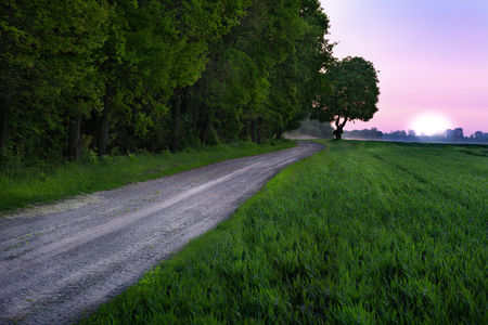 Sunrise over a spring meadow. Masuria, Poland.の写真素材