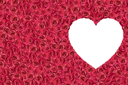 white heart surrounded by roses.  Raster illustration.の写真素材