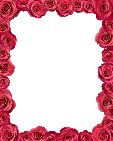 Frame made of pink roses. Isolated on white.の写真素材