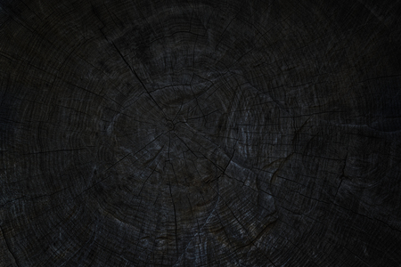 Old tree trunk. Black texture of wood.の写真素材
