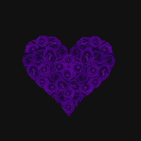 Heart filled with violet roses isolated on black.の写真素材