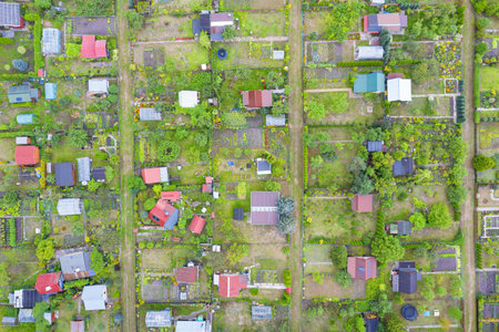 Family fenced allotment gardens aerial view. Masuria, Poland.の写真素材