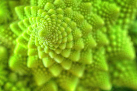 Natural fractal from romanesco cauliflower. Green background.の写真素材