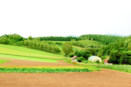 different color farm and farmhouse 
