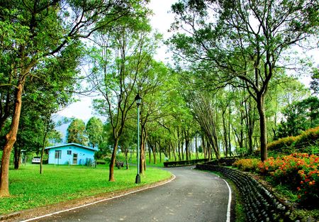 walking path in the parkの写真素材