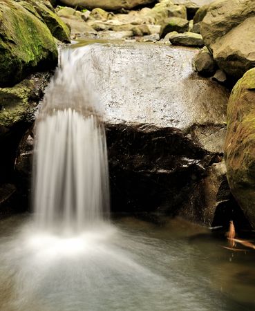 river in forest の写真素材