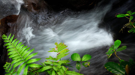 River water flow through the rocksの写真素材
