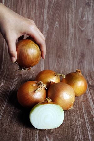 Hand holding fresh onion close up, detail on wooden backgroundの写真素材