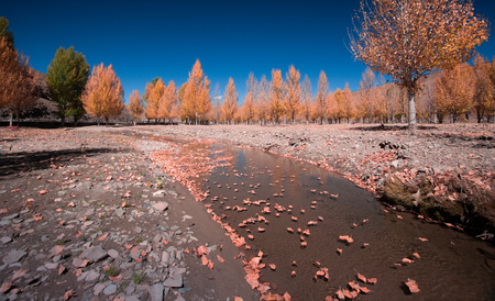 Daocheng rural sceneryの写真素材